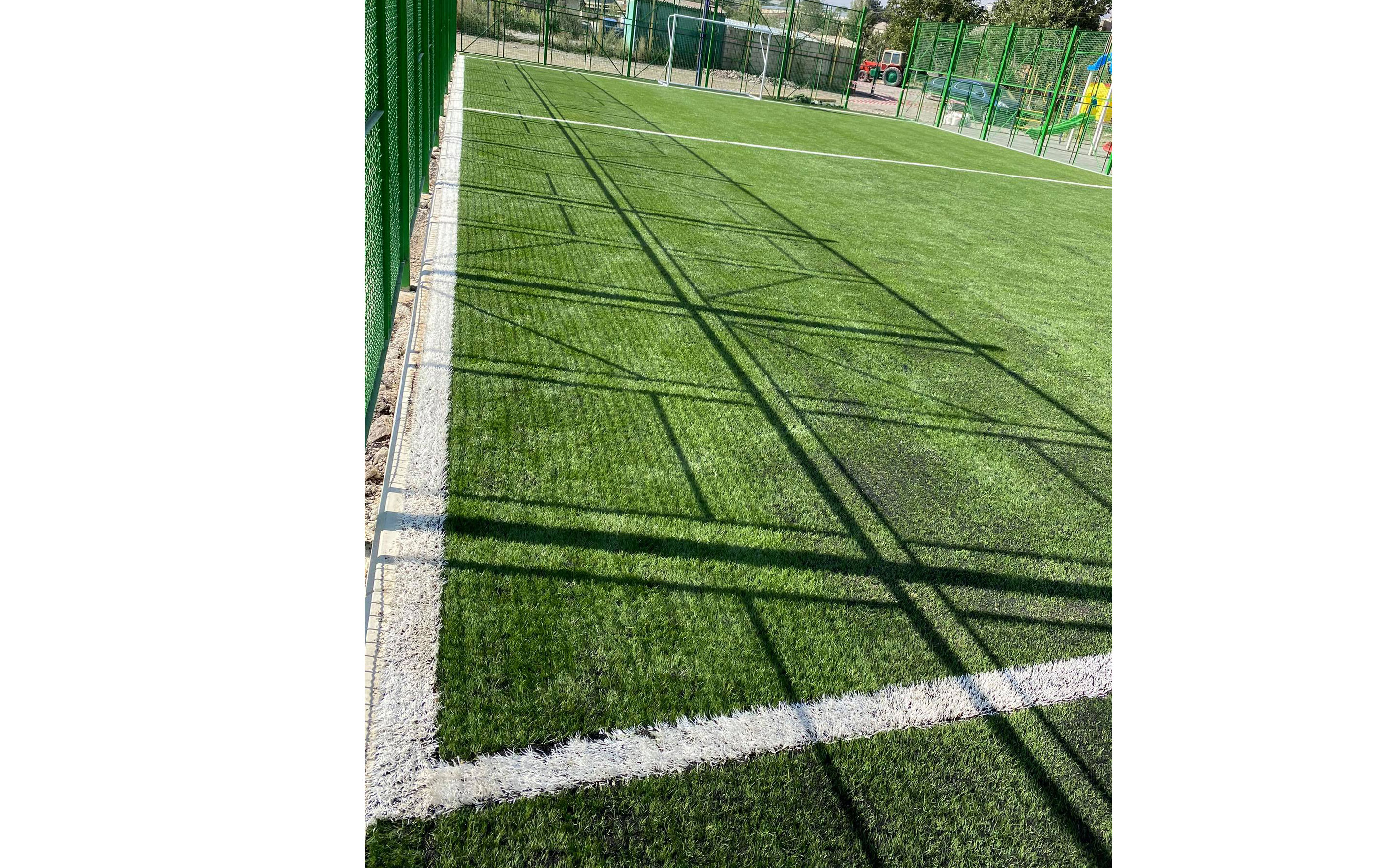 Artificial Grass